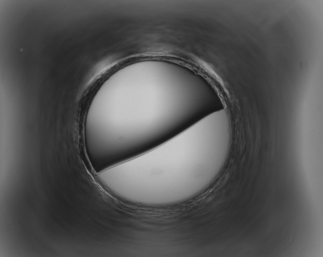 X0000084521456200703021345