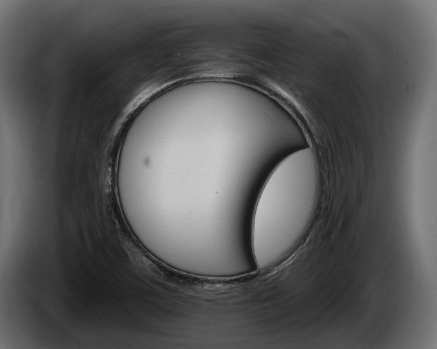 X0000084521459200703021344