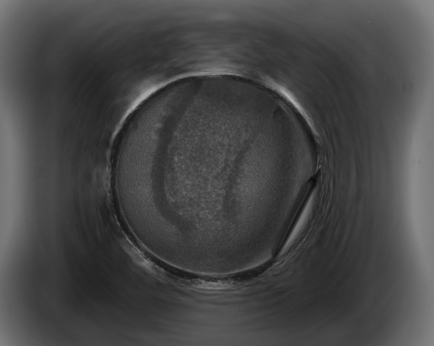 X0000084521460200703021344