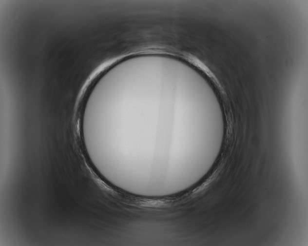 X0000084521462200703021344