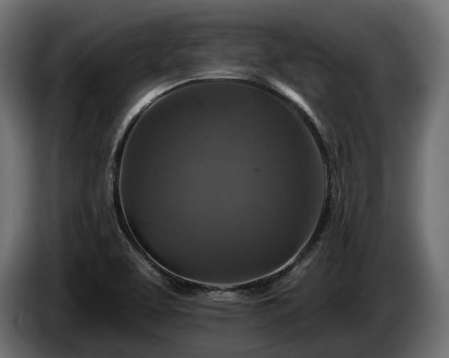 X0000084521463200703021344