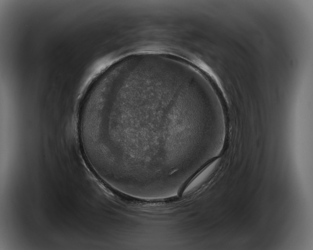 X0000084521464200703021344