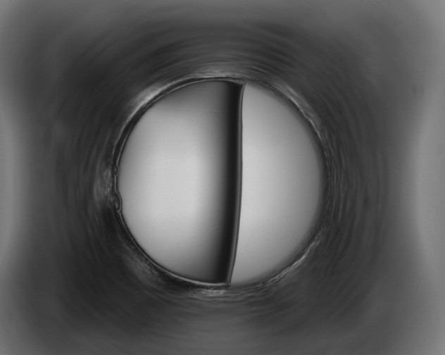 X0000084521465200703021344