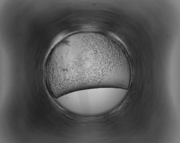 X0000084521467200703021344