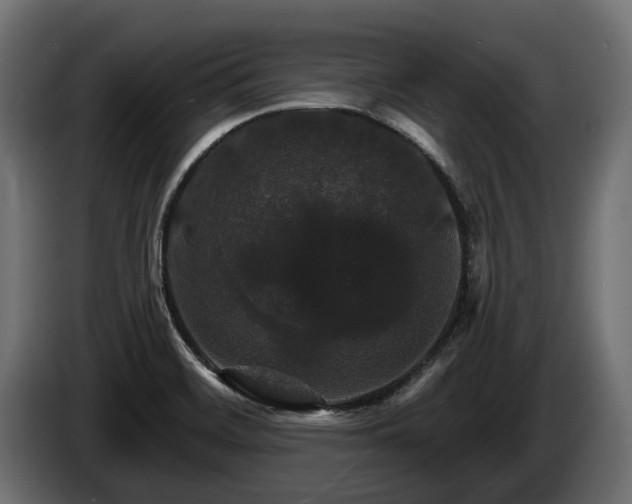 X0000084521468200703021344