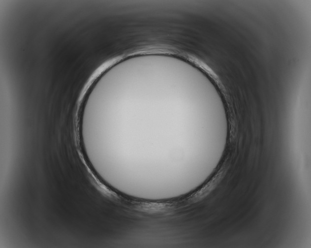 X0000084521470200703021344