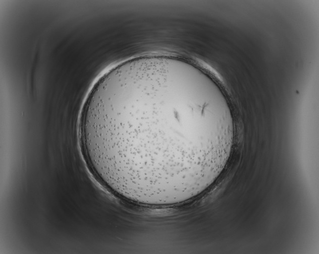 X0000084521471200703021344