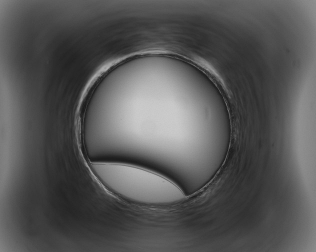 X0000084521472200703021344