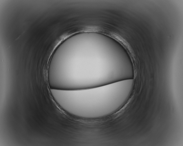 X0000084521473200703021344