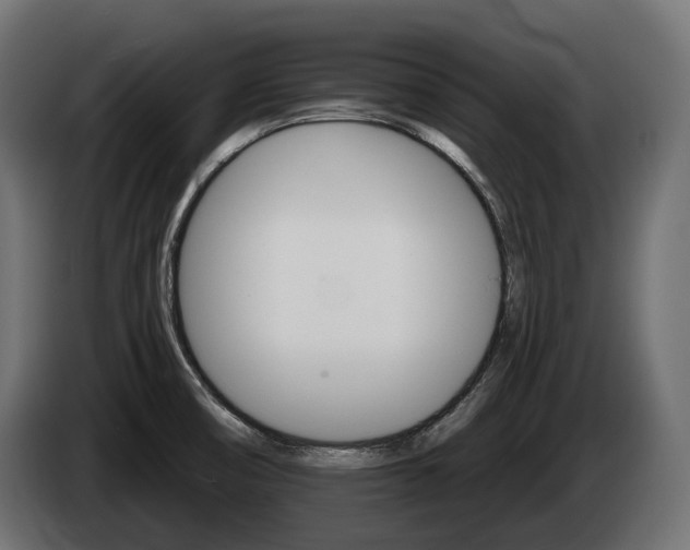 X0000084521474200703021344