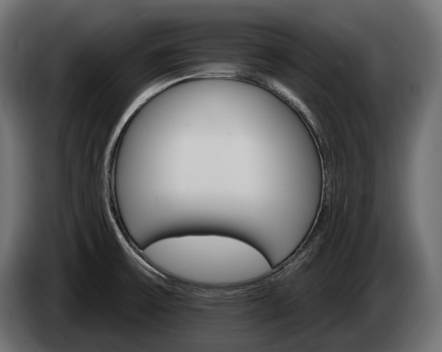 X0000084521475200703021344