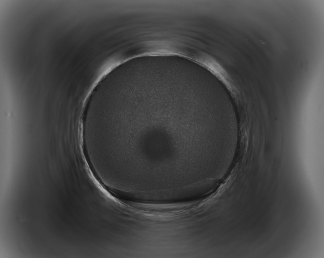 X0000084521476200703021344