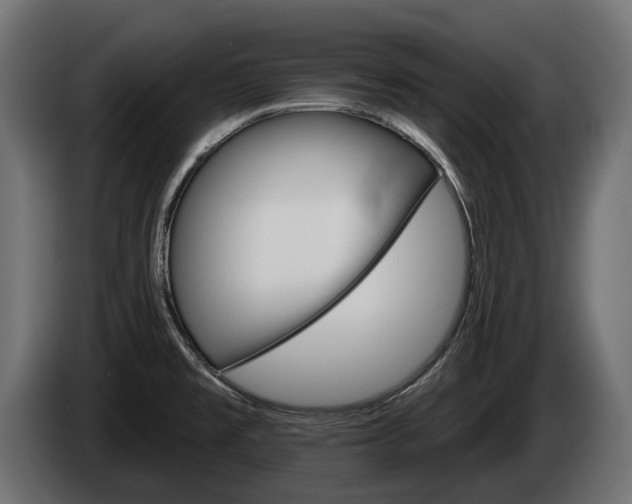 X0000084521477200703021344