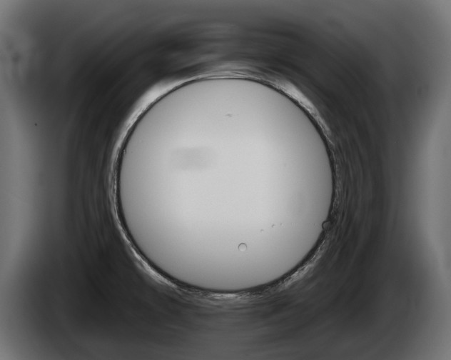 X0000084521478200703021344