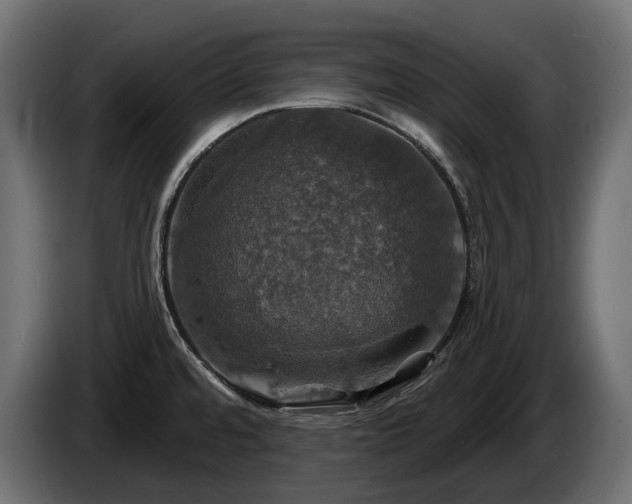 X0000084521480200703021344