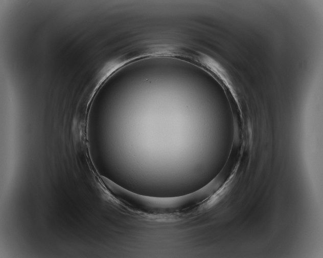 X0000084521481200703021344