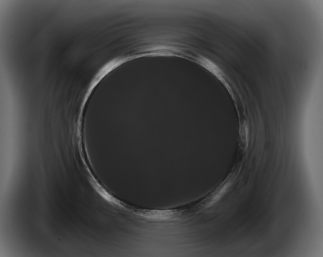 X0000084521482200703021344