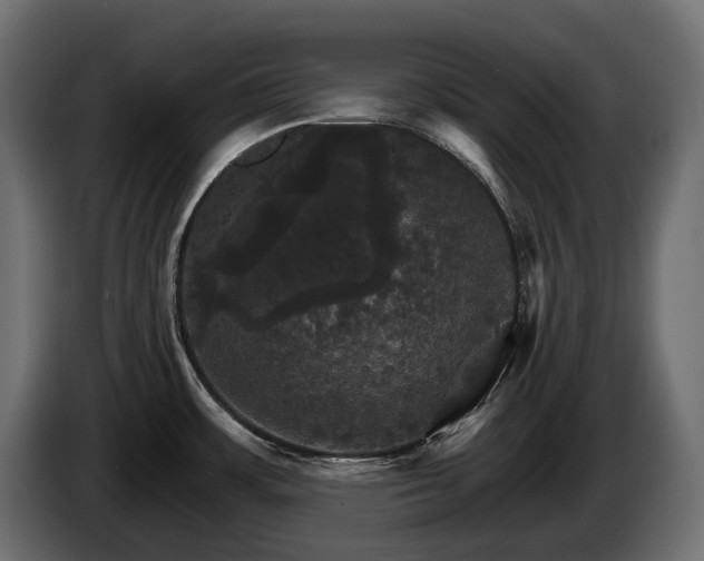 X0000084521483200703021344