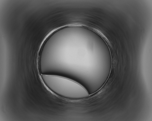 X0000084521484200703021344