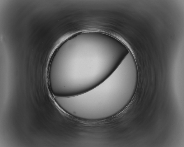 X0000084521485200703021344