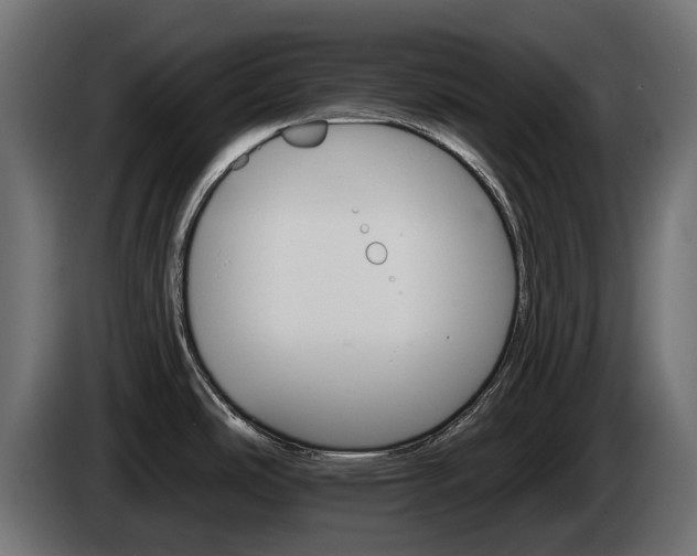 X0000084521486200703021344