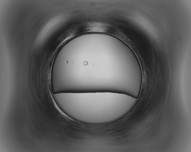 X0000084521487200703021344