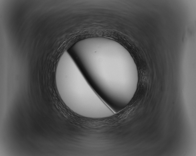 X0000084521489200703021343