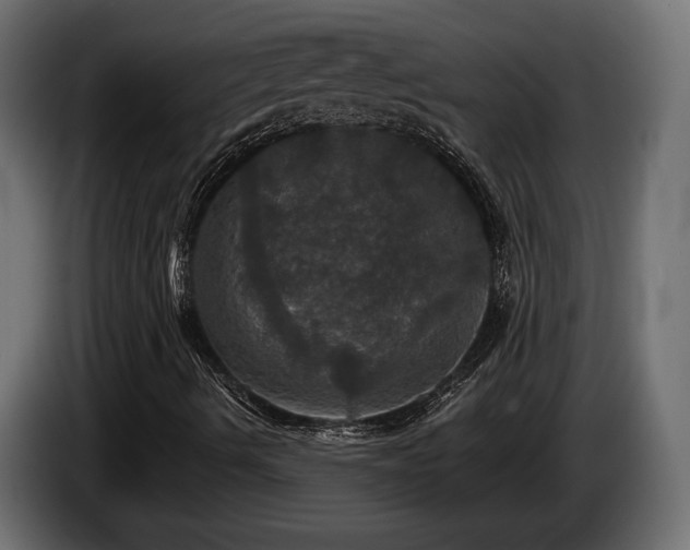 X0000084521490200703021343