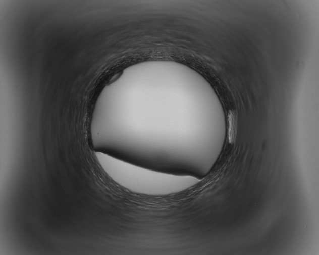 X0000084521491200703021343