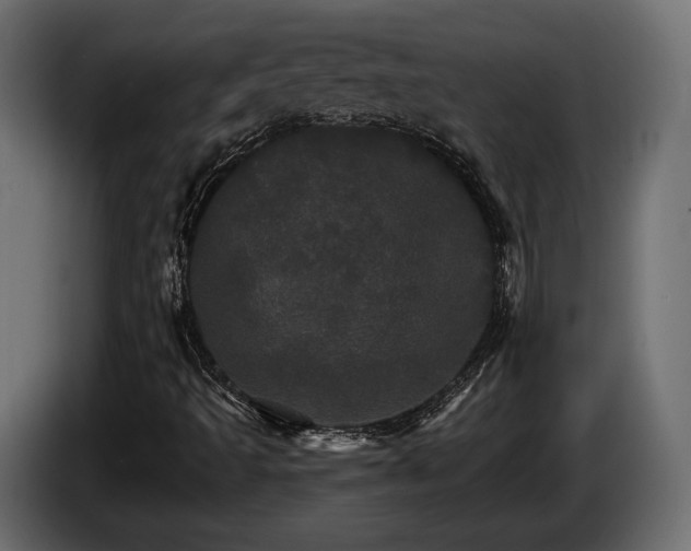 X0000084521493200703021343