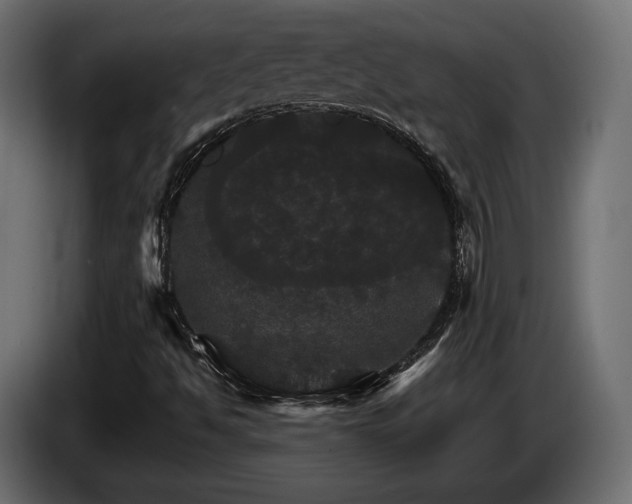 X0000084521494200703021343