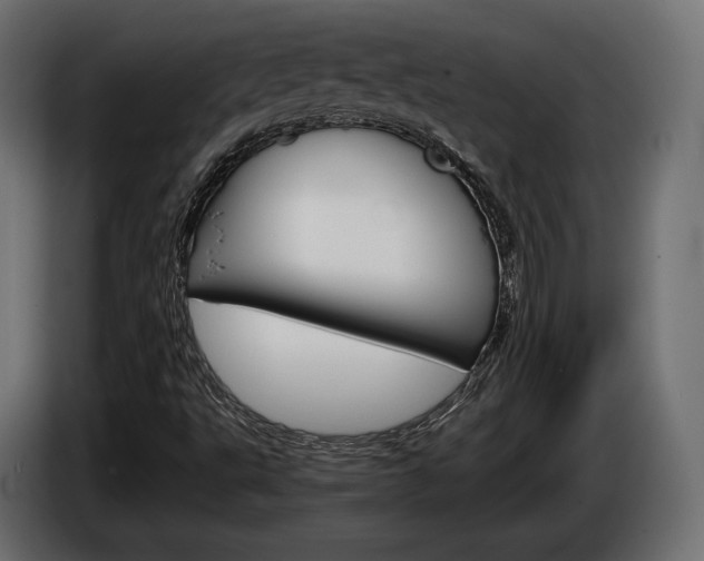 X0000084521495200703021343