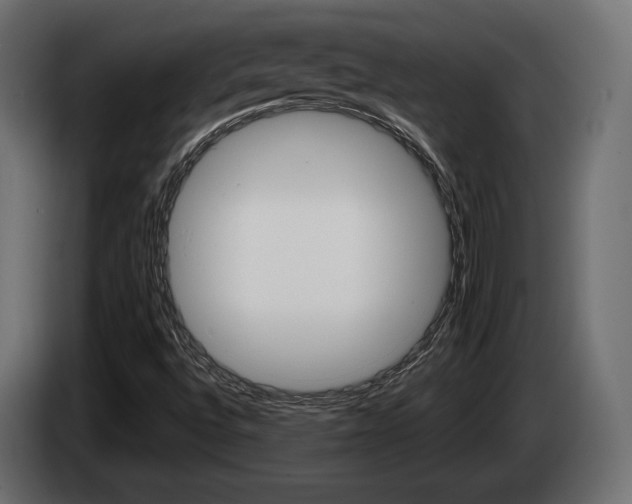 X0000084521496200703021343