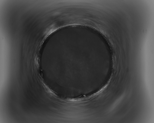 X0000084521497200703021343