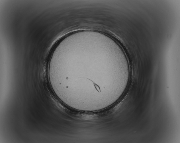 X0000084521498200703021343