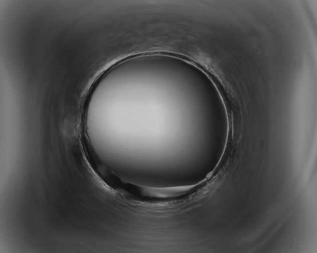 X0000084521500200703021343