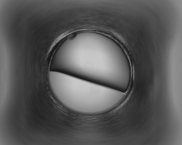 X0000084521501200703021343