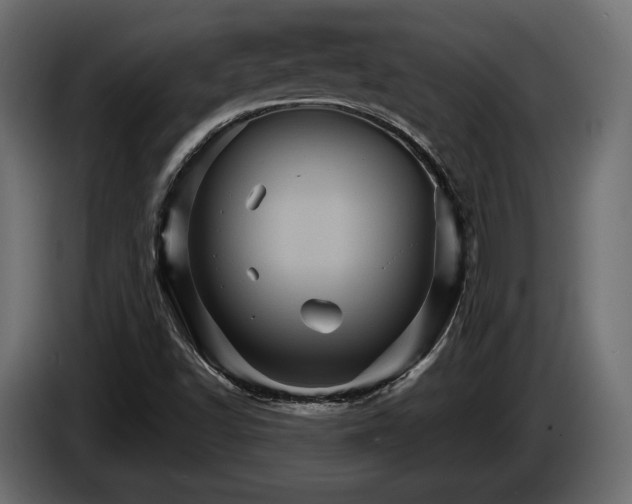 X0000084521502200703021344