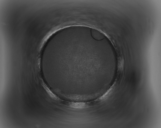 X0000084521503200703021344