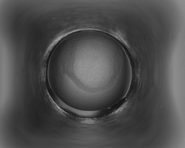 X0000084521504200703021344