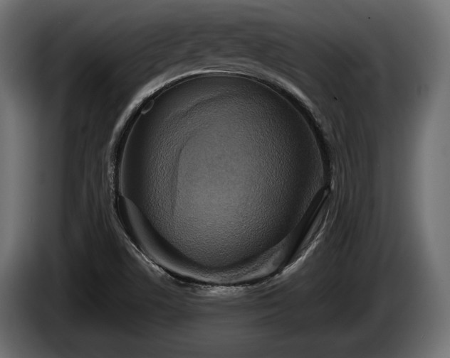 X0000084521506200703021344