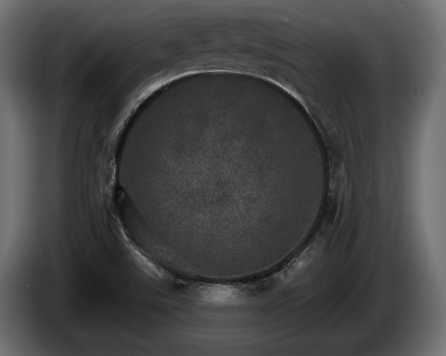 X0000084521507200703021344