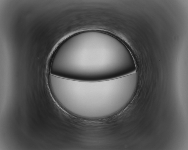 X0000084521508200703021344