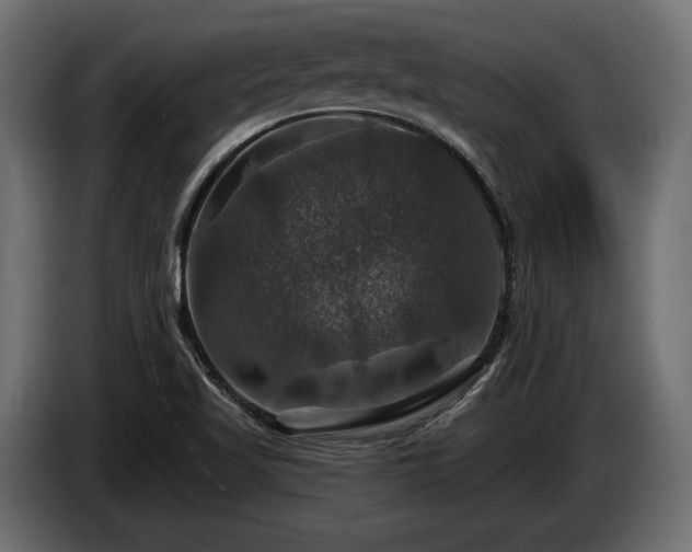 X0000084521509200703021344