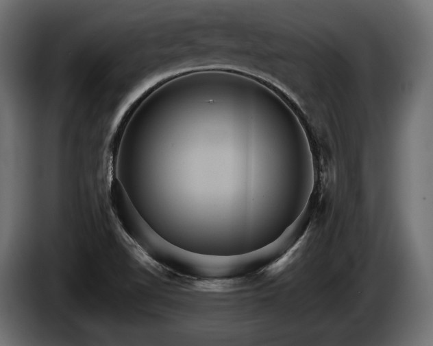 X0000084521510200703021344