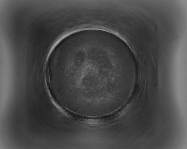 X0000084521511200703021344