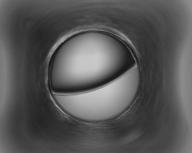 X0000084521512200703021344