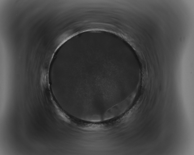 X0000084521513200703021344