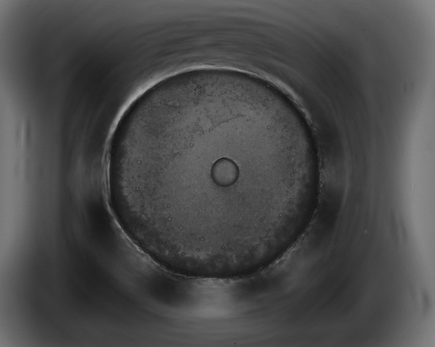 X0000084521514200703021344