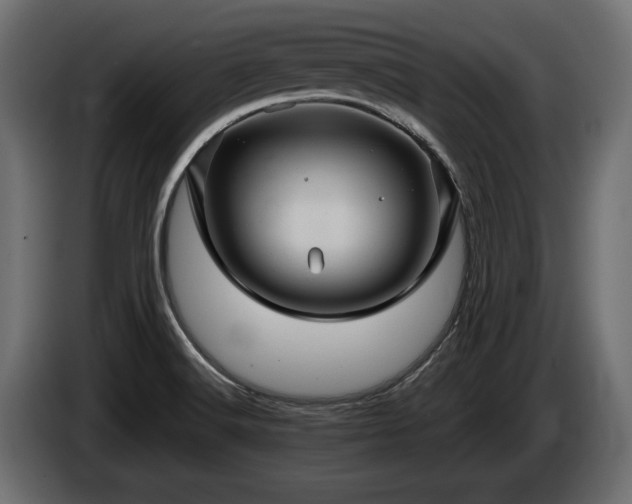 X0000084521516200703021344